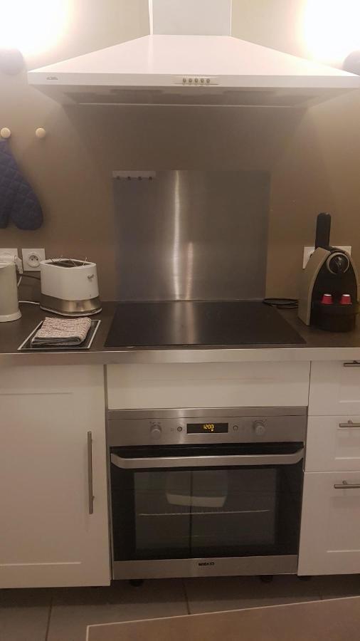 Tournus Castrum Romain - Duplex 54 M2 - 3 Etoiles - Petit Box Velo - 5Mn Autoroute 외부 사진